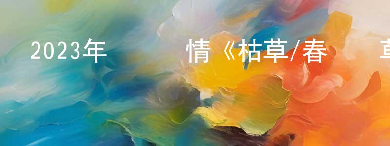 白俊林的網絡影視資源,2023年獲獎劇情《枯草/春風勁草》BD中字迅雷下載_深夜電影
